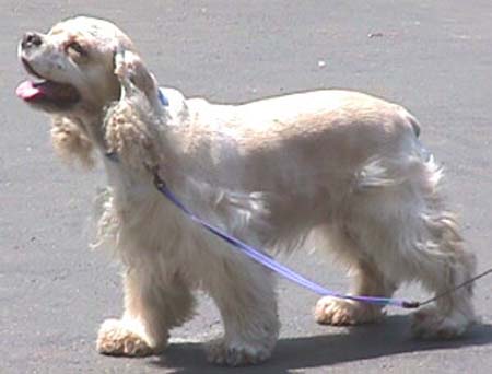 Abby_June_03_mvc-020f