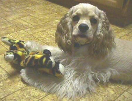 ChloeWithToy_GreatShot_March_03_Mvc-032f