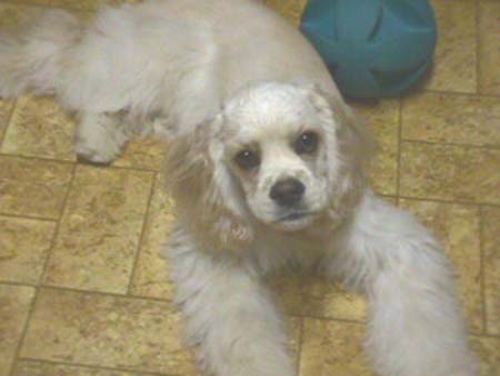 CloseUpMonique_Mvc-042f