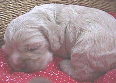 MoniquePupJan18-2mvc-009f