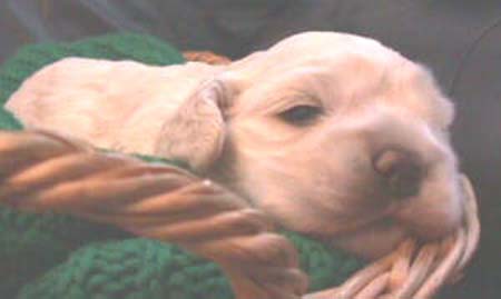 MoniquePupJan18-3mvc-023f