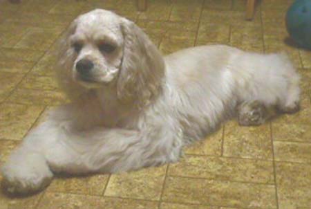 Monique_clipped_Mvc-044f